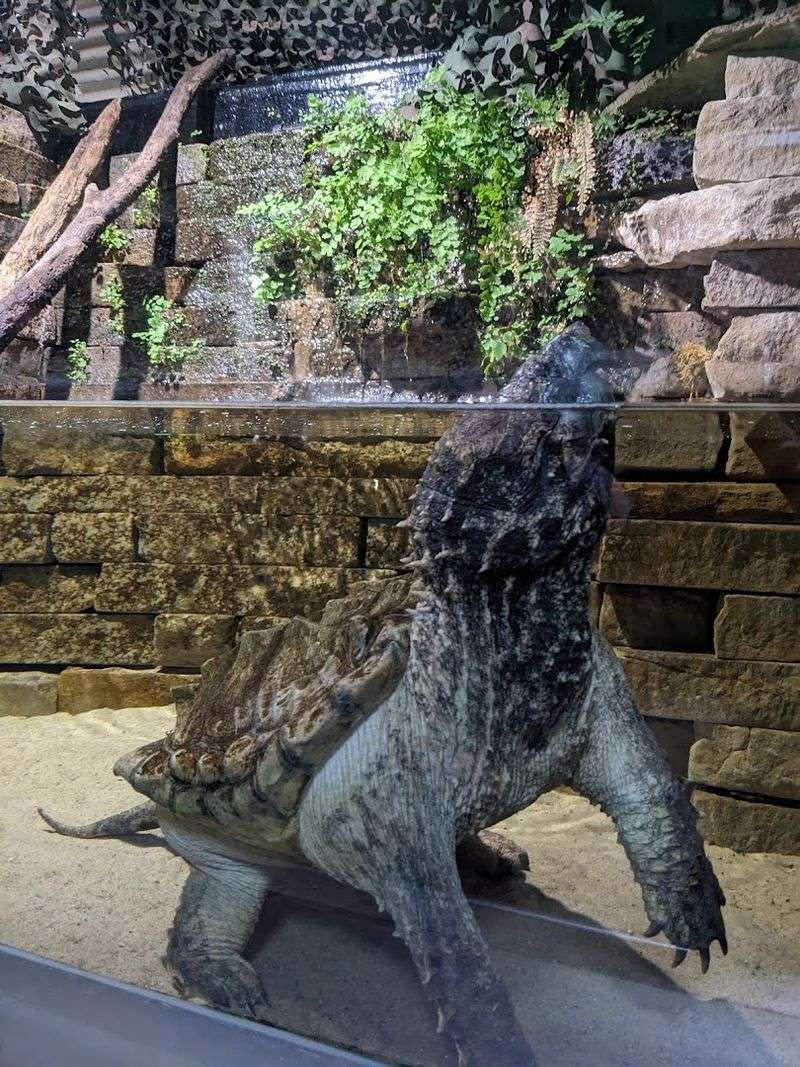 Why This Detroit Classic Sticks With Me