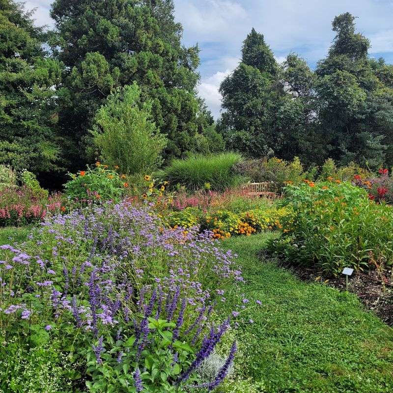 Best Times to Visit and Seasonal Highlights