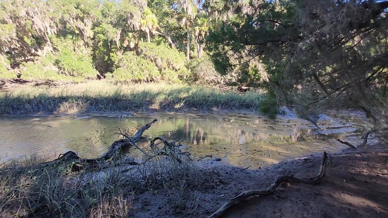 Wildlife Beyond Birds: What Else Roams the Preserve