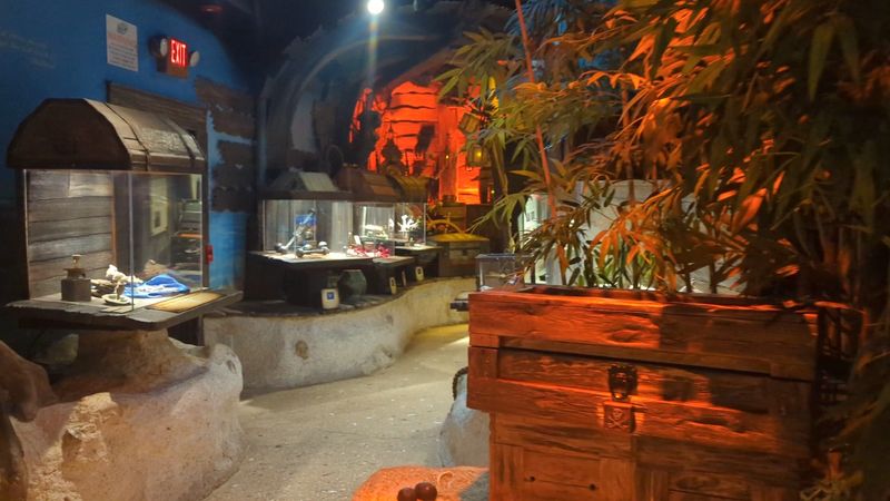 The Interactive Treasure Hunt for Kids