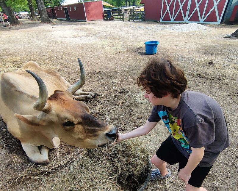 Feeding the Animals on a Budget