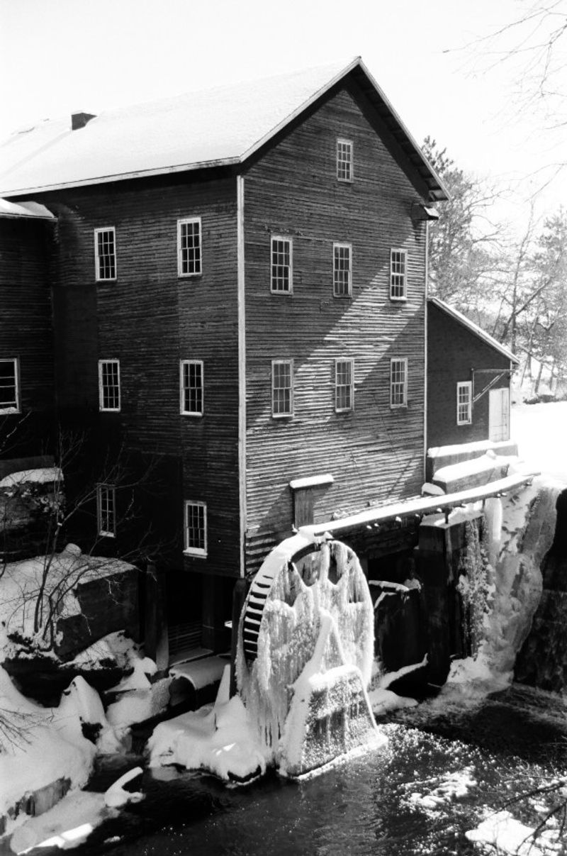 Organic and Whole Grain Products From the Mill