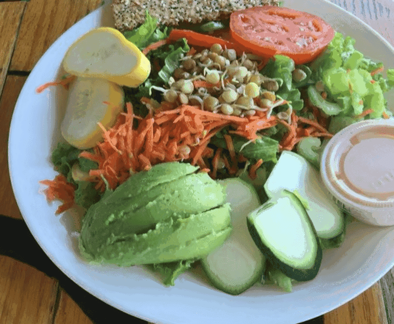 A Vegetarian and Vegan Friendly Haven