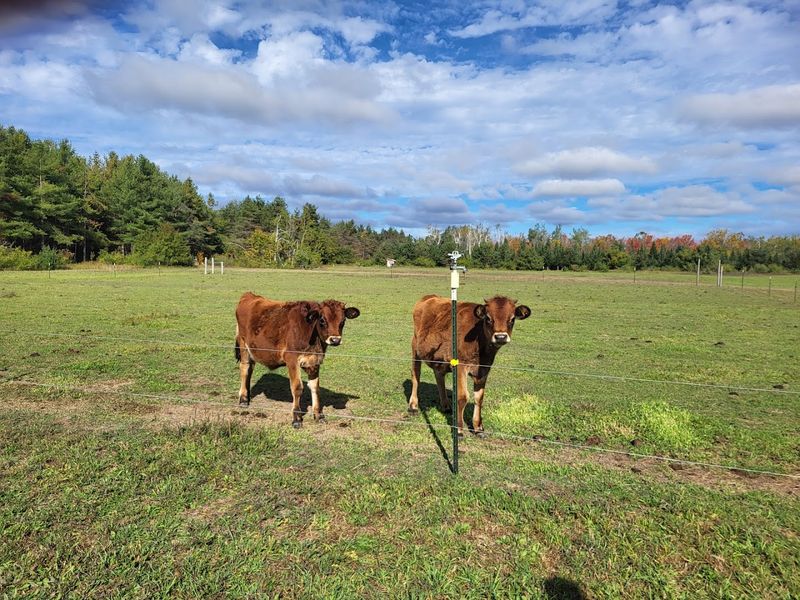 Homemade Goods That Deserve Their Own Road Trip