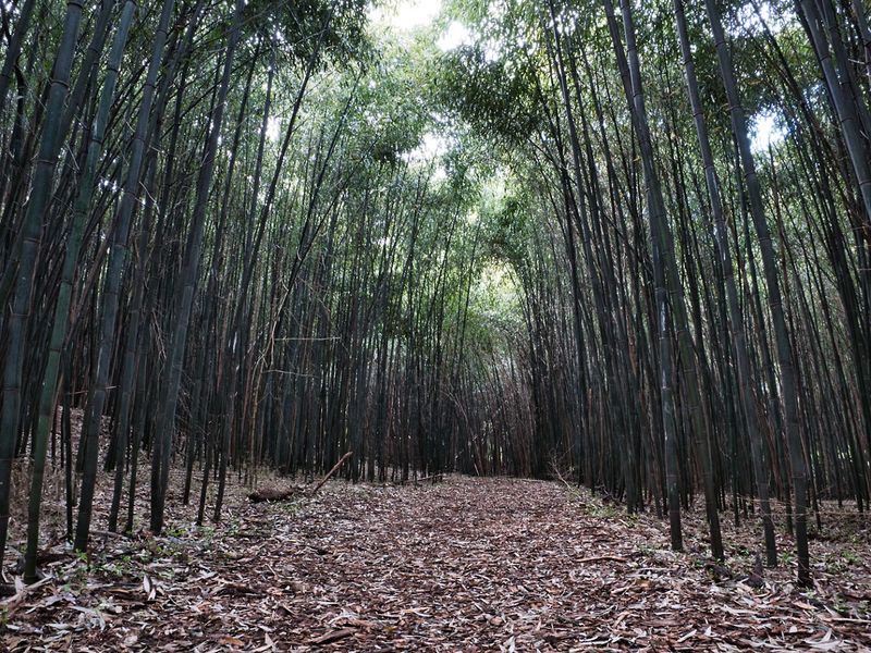 Where to Find This Remarkable Place