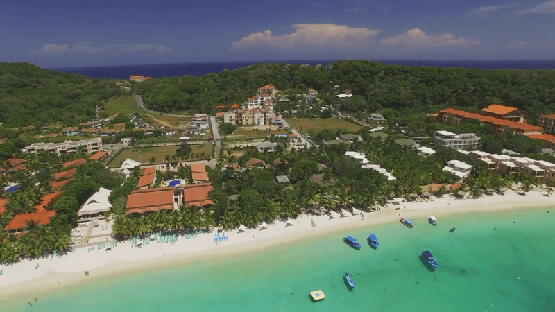 Roatán Reef – Honduras