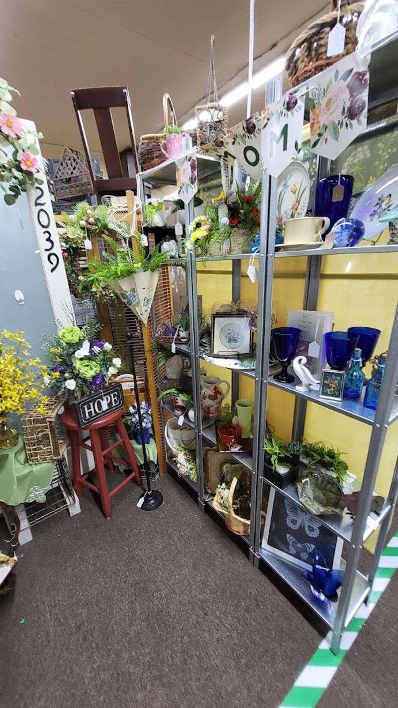 The Ocean Theme, the Quirky Details, and What Makes the Decor Memorable