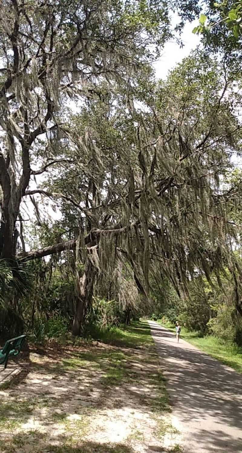 Withlacoochee State Trail