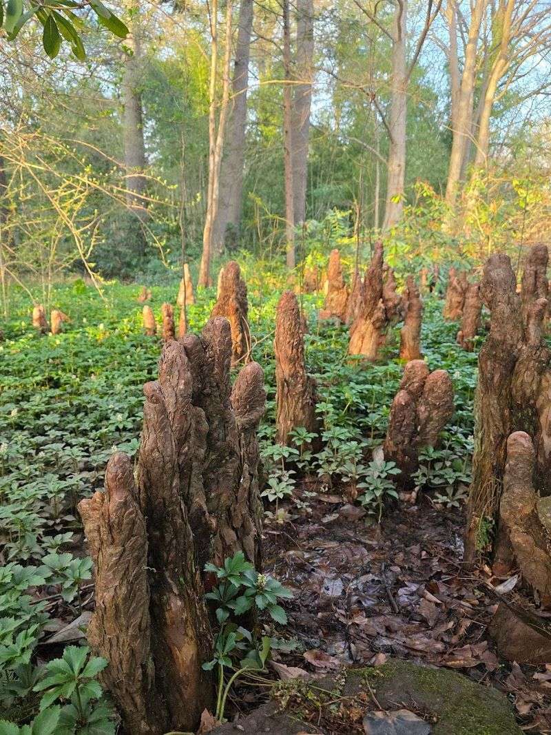 Trails That Cover a Surprising Range of Landscapes