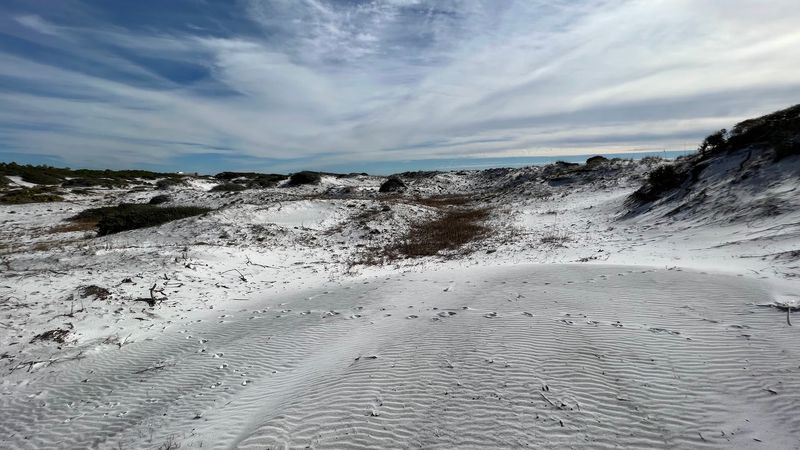 Gulf Coast Dune Trails (e.g., Grayton Beach / Panhandle)