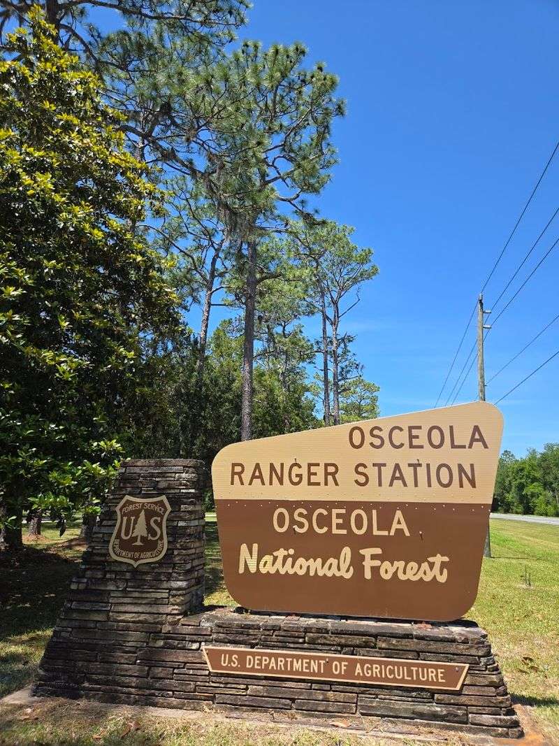 Practical Tips for Your Visit