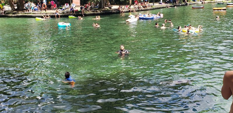 Swimming Tips: How to Make the Most of the Spring Pool