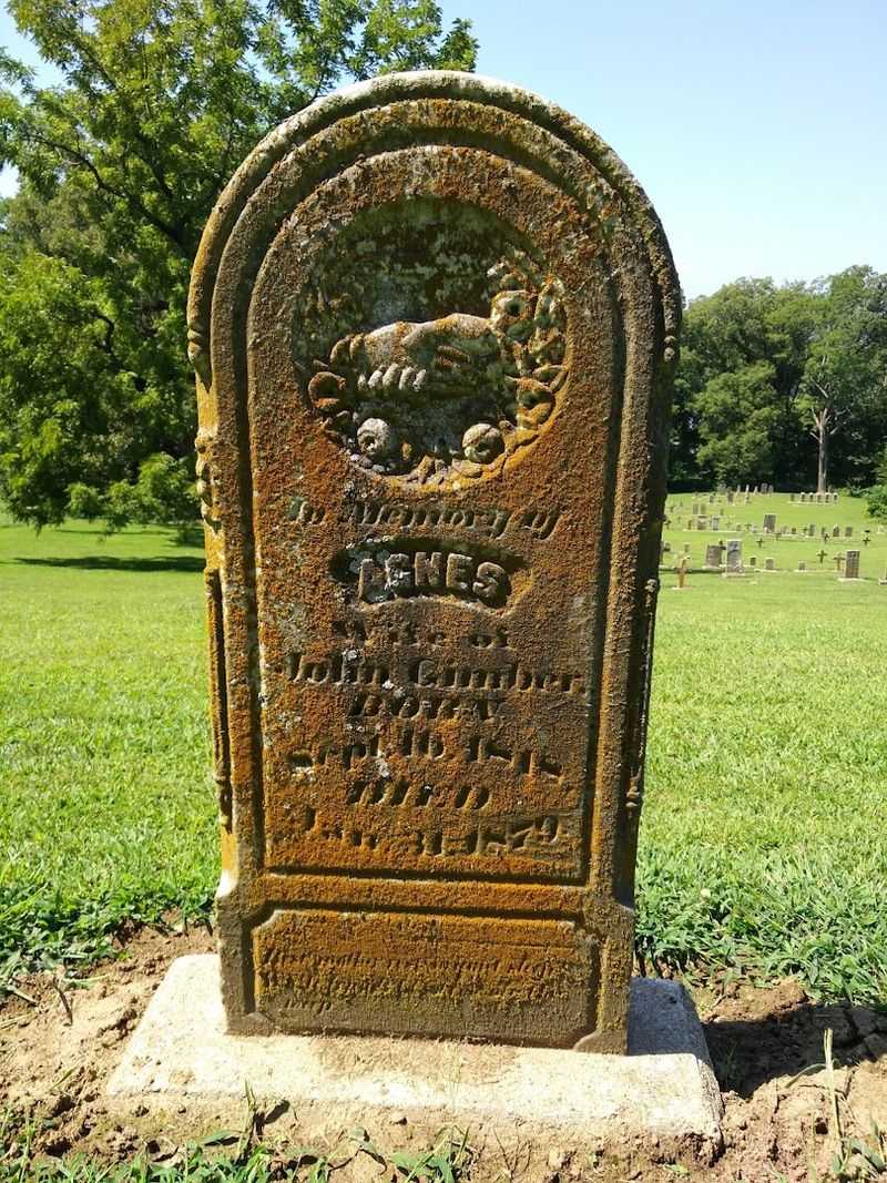 The Submerged Cemetery and Its Haunting Legacy