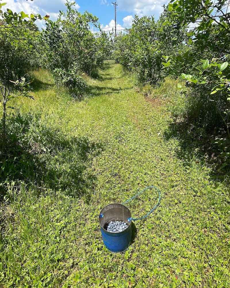 Why Hammonton's Story Still Resonates Today