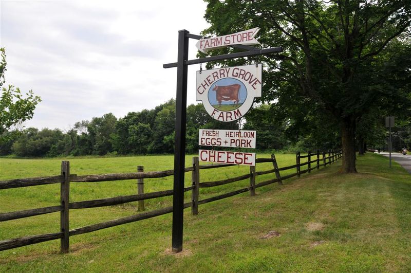 Planning Your Visit: What to Know Before You Go