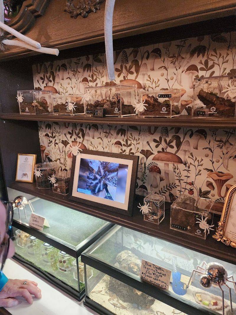 Spiders, Ghost Hunting Gear, and Other Unexpected Inventory