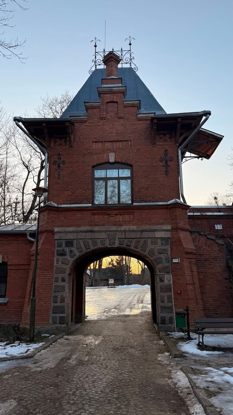 Białowieża National Park, Poland: The Primeval Forest That Feels Older Than Time Itself