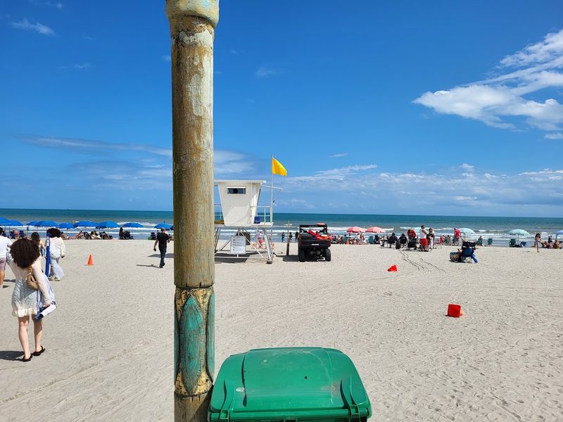 Seasonal Events and the Famous Surfing Santas