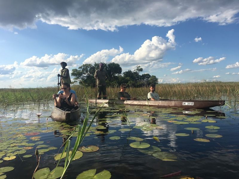 Take a Mokoro Safari in the Okavango Delta, Botswana