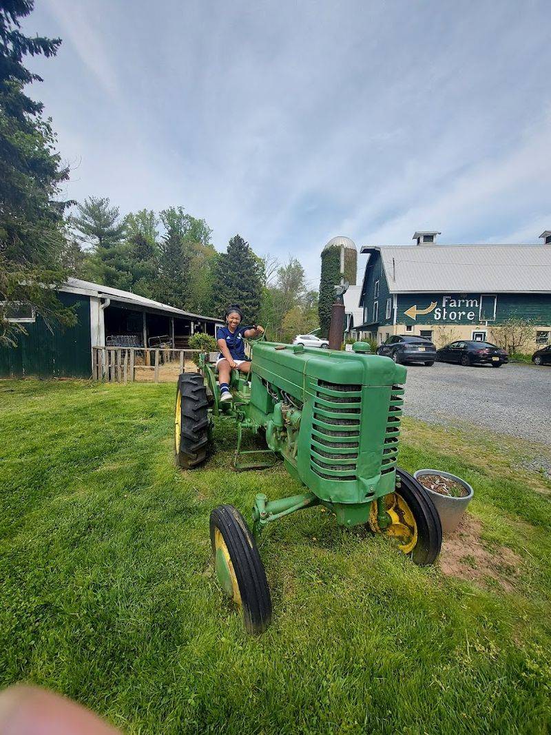 Farm Tours and Hayrides That Connect People to the Land