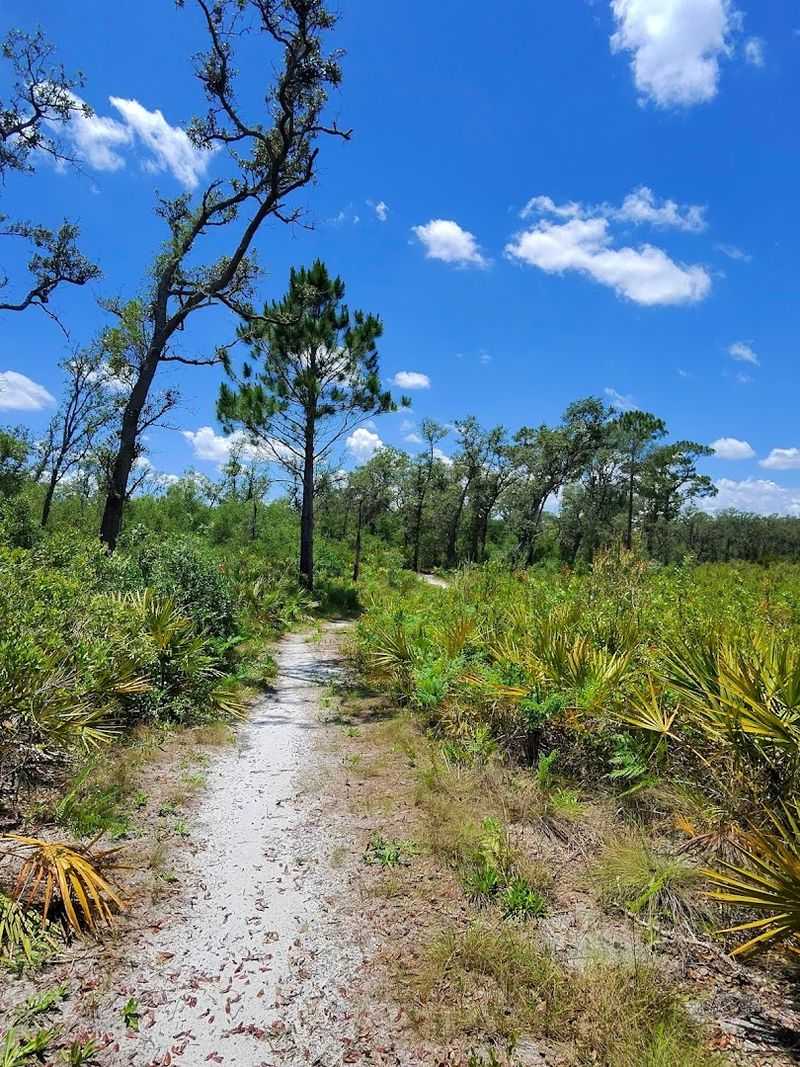 Tiger Creek Preserve Trails (Babson Park)