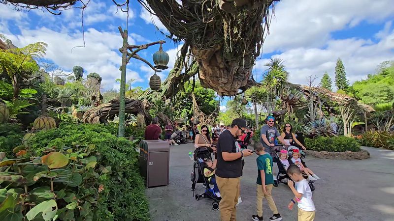 Practical Tips for Planning Your Visit