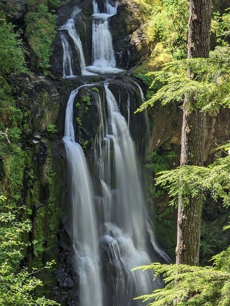 Kentucky Falls - Coast Range