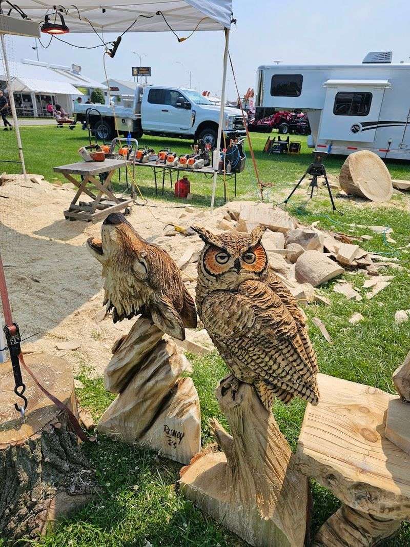 Chainsaw Art and Unexpected Creativity: The Artists Who Steal the Show