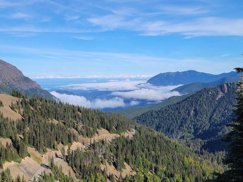 Olympic Peninsula Loop (Washington)