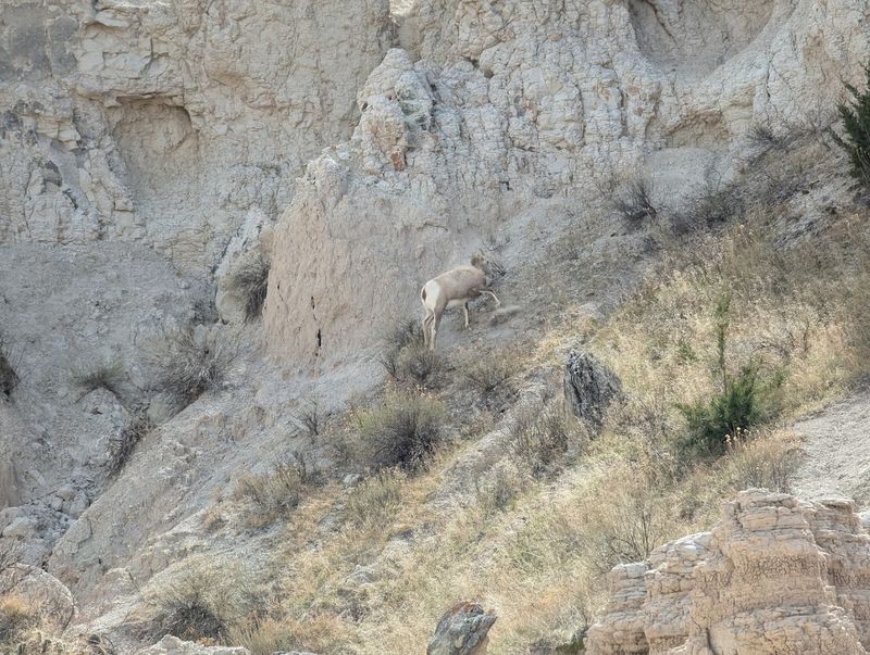 Badlands National Park, South Dakota