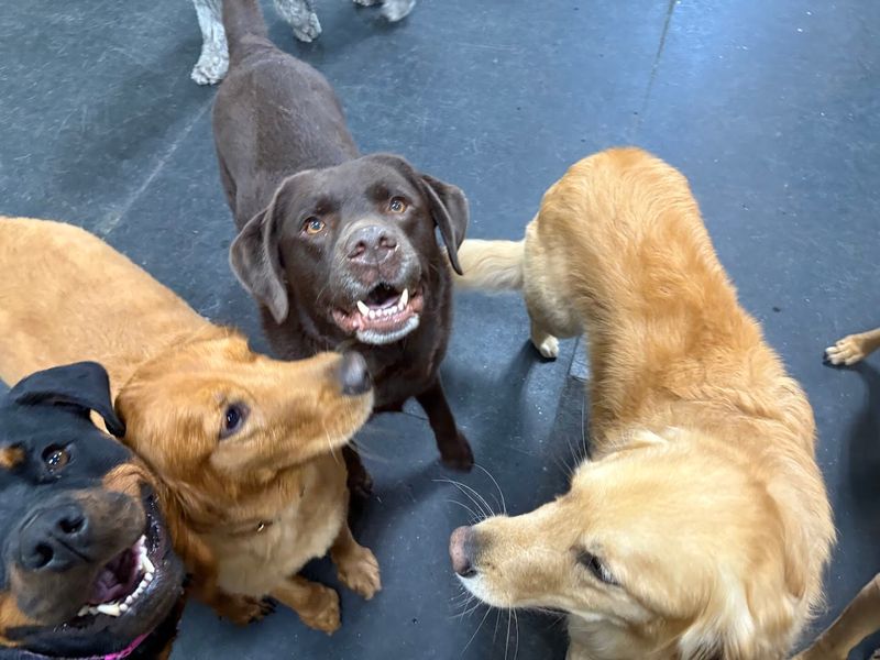 A Community That Feels Like Family