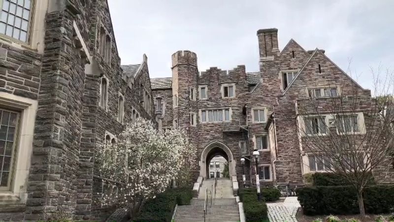 Princeton University Proximity and the Academic Crowd