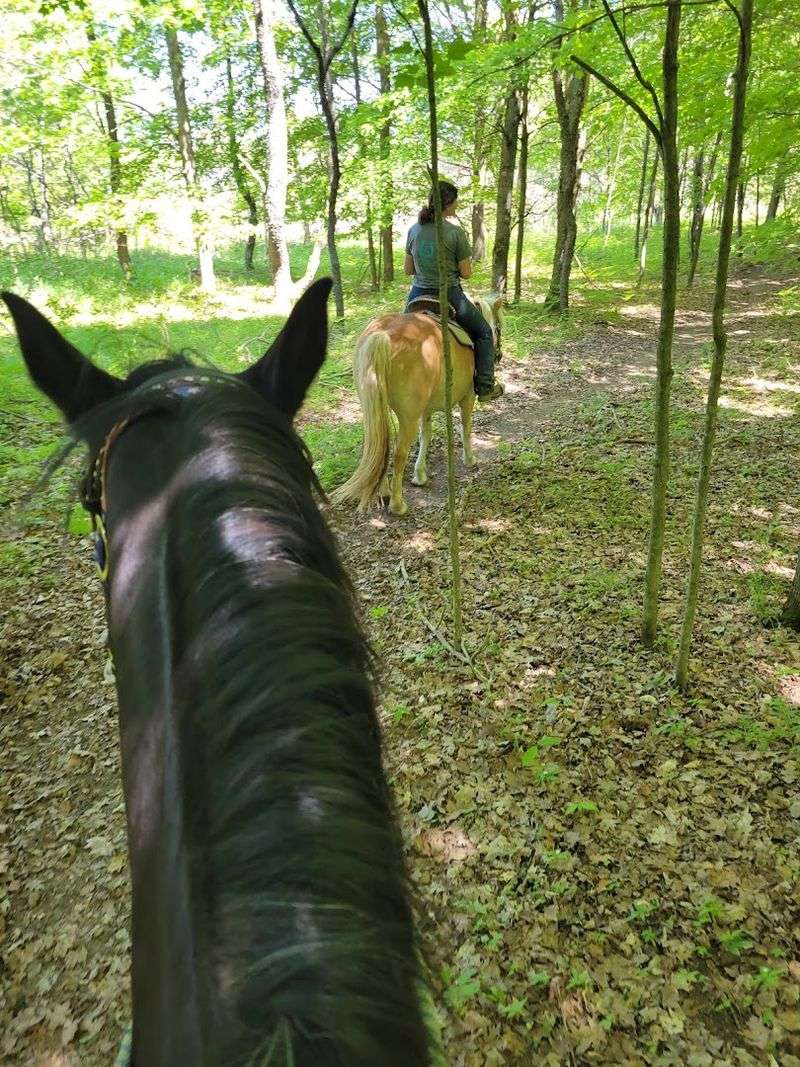 Practical Tips for Planning Your Visit