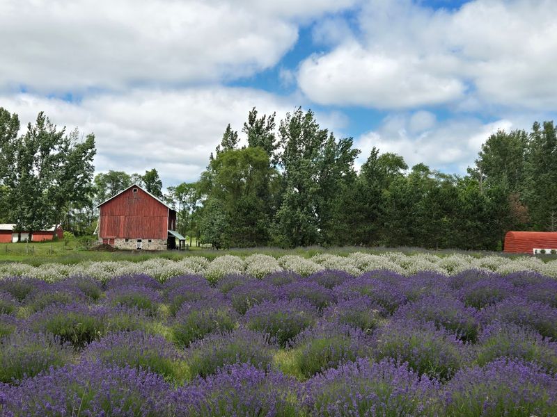 A Farm That Feels Personal, Not Commercial