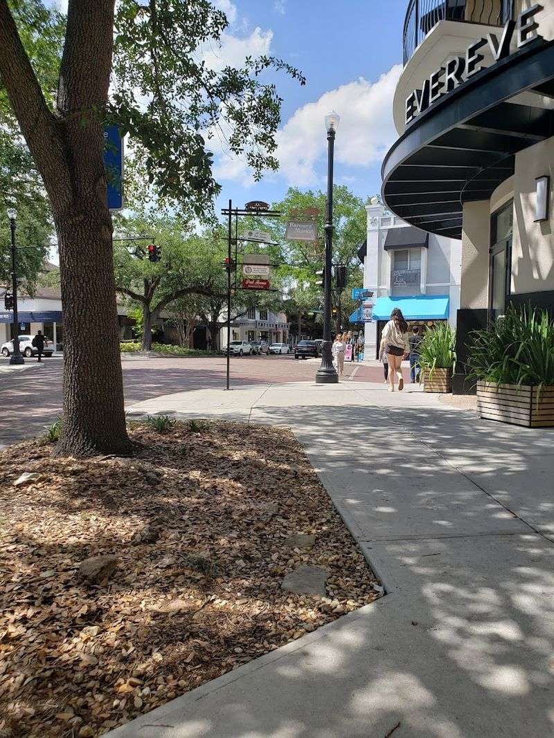 Park Avenue - Winter Park