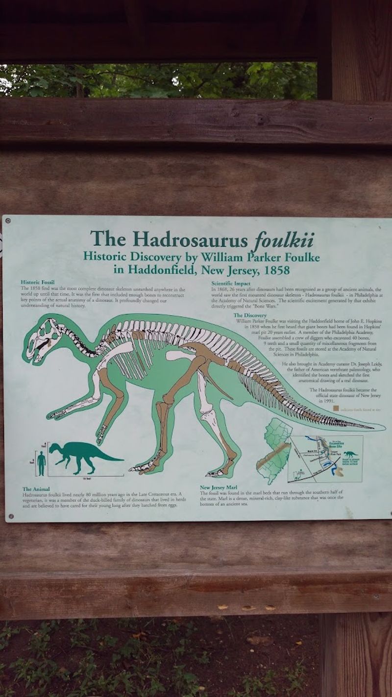 New Jersey's Official State Dinosaur