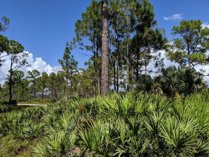 Babcock/Webb Wildlife Management Area (lesser-used hiking sections)