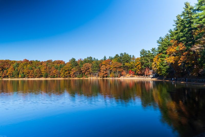 Walden Pond State Reservation — Concord