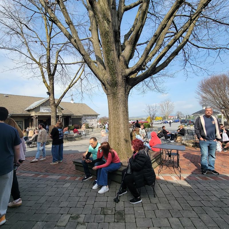 Dining Options That Go Beyond Snack-Sized Bites