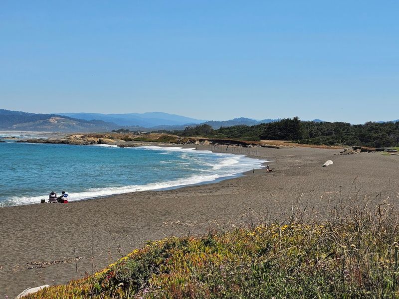 MacKerricher State Park, California
