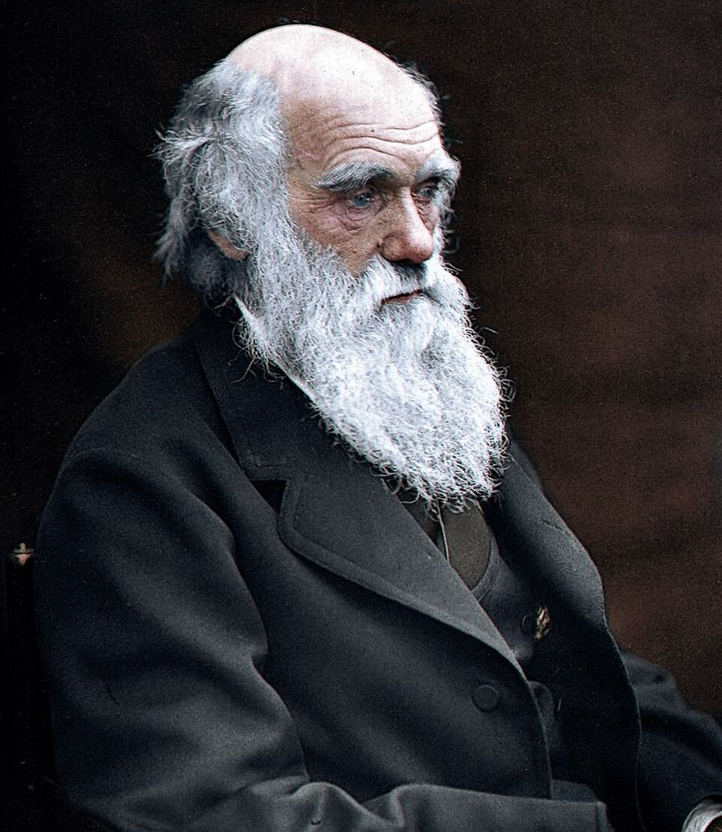Charles Darwin: The Scientist Who Changed How We See Life