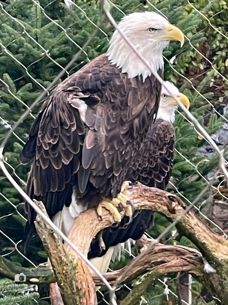 ZooAmerica North American Wildlife Park, Hershey, Pennsylvania