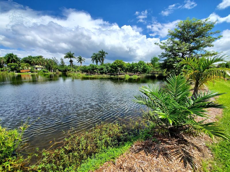 Lakes, Ponds, and the Wildlife That Calls Them Home