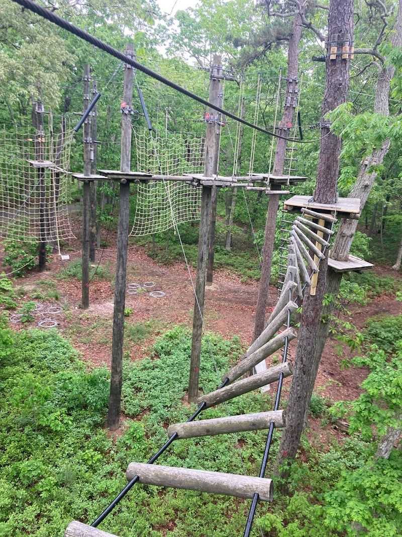 Where Exactly You Will Find This Treetop Adventure
