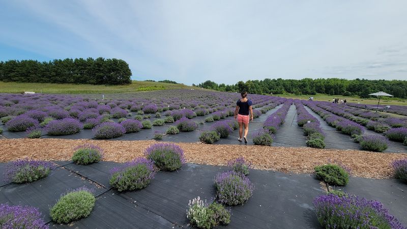 Where Exactly This Garden Hides and Why That Matters