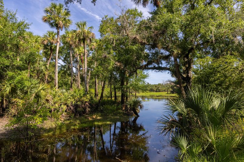Kolokee Loop Trail (Little Big Econ State Forest)