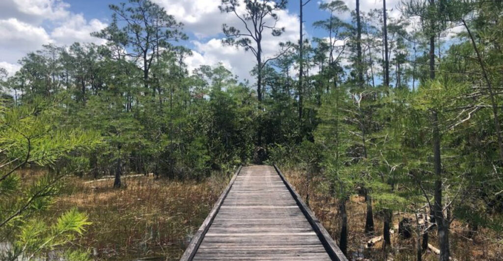 Hidden Florida Trails You Need to Explore This Spring