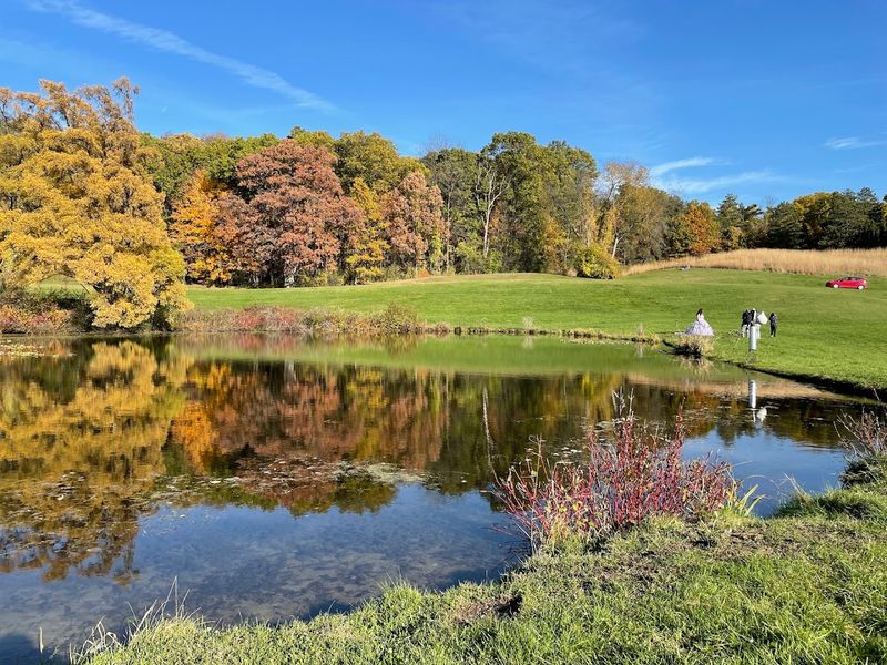 Fall Colors That Turn the Whole Garden Into Something Else