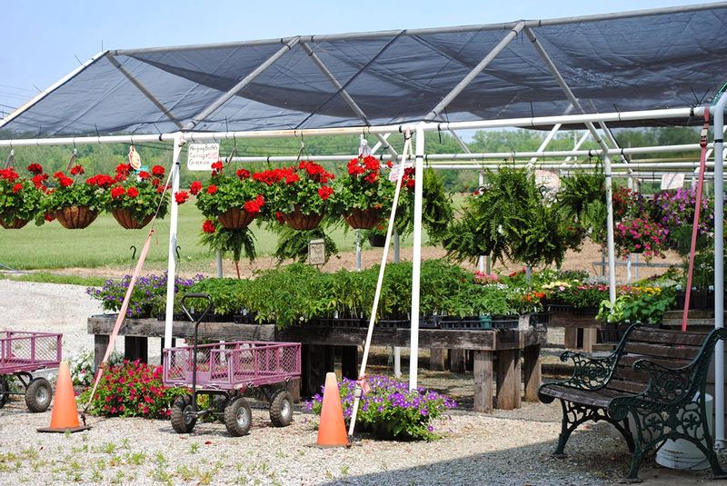 Clarks Farm Market - Northeast Ohio