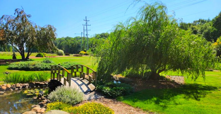 Hidden in Mid-Michigan, This Garden Feels Like a Private Storybook Escape – Cats Included